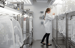 Researcher using a Weiss Technik walk-in-climate-rooms-for-plants-insects